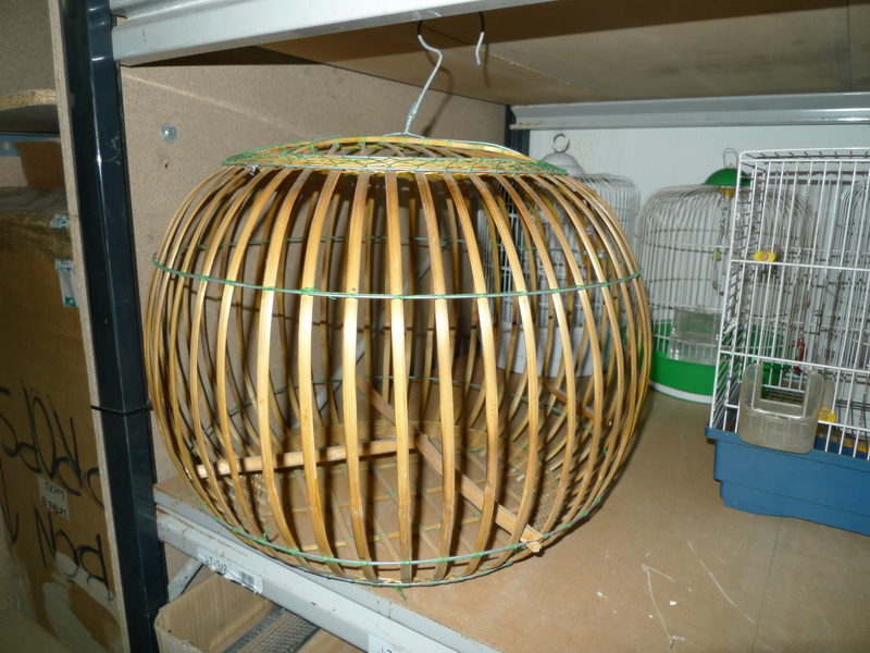 jaula pajaro